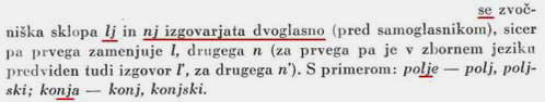 Jože Toporišič, pisani Lj (Nj) se govor z glasoma Lj (Nj)